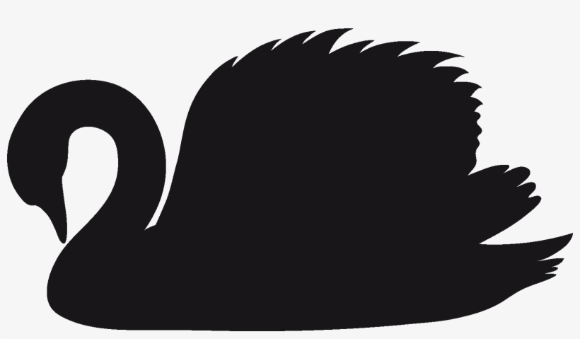 Download - Black And White Swan Png, transparent png #2035650