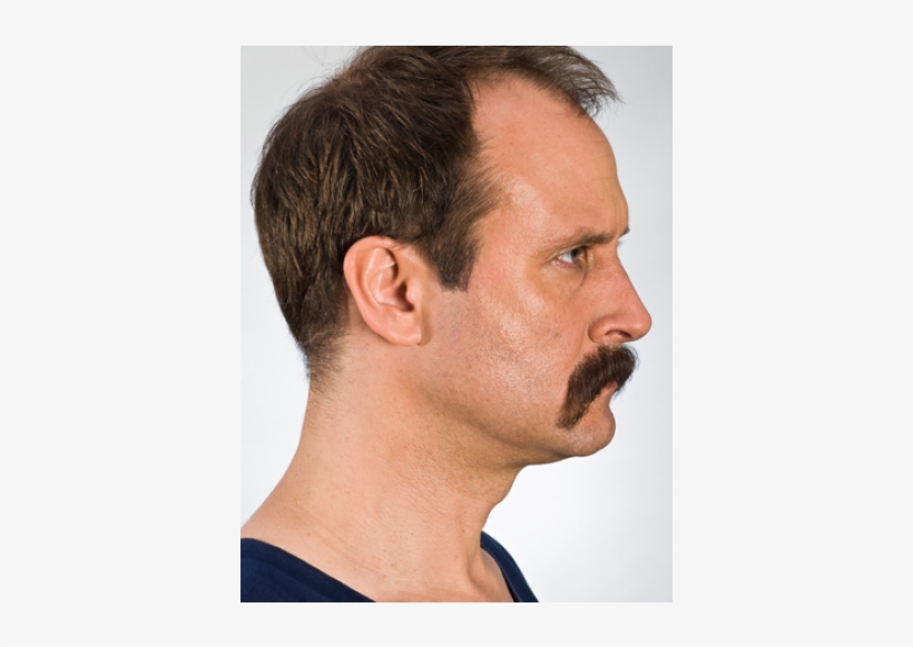 Straight Full Beard Free Transparent Png Download Pngkey