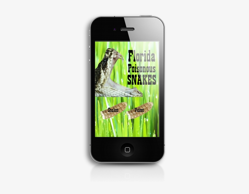 Florida Poisonous Snake App - Smartphone, transparent png #2038381