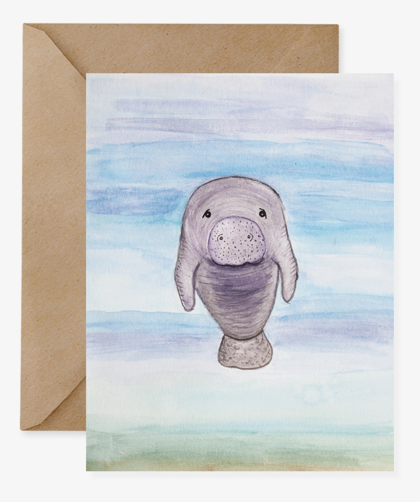 Florida Manatee - Dugong, transparent png #2038543