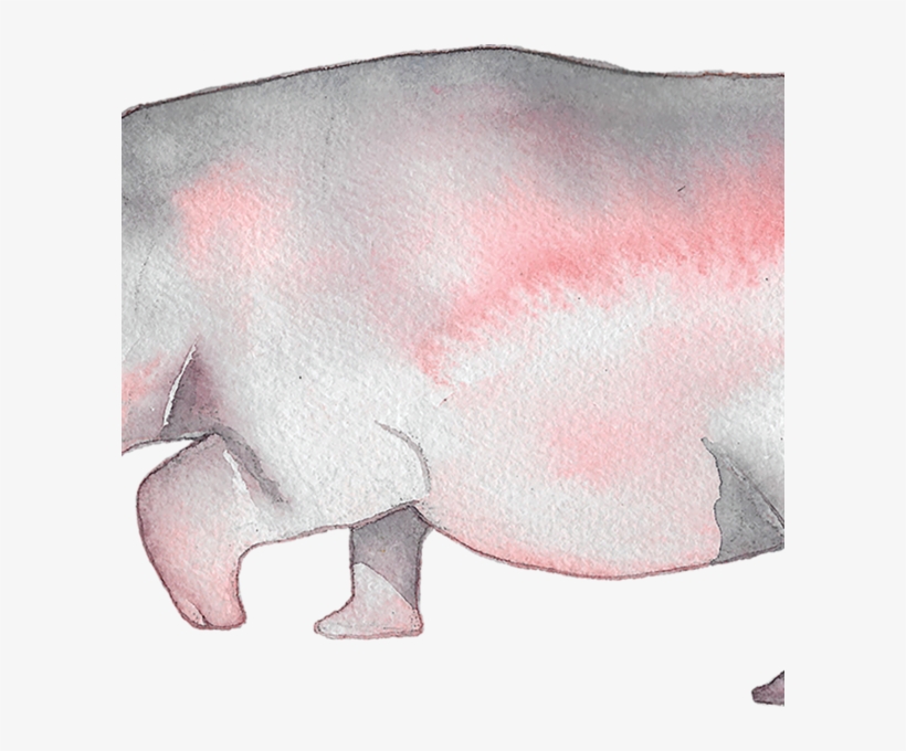 Hippopotamus, transparent png #2038591