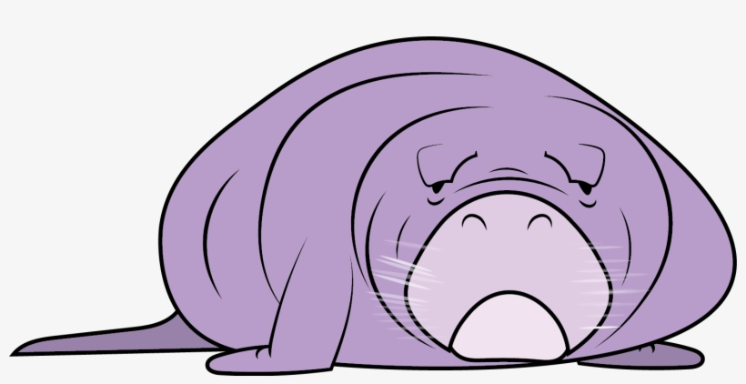 Cartoon Manatee Transparent, transparent png #2038706