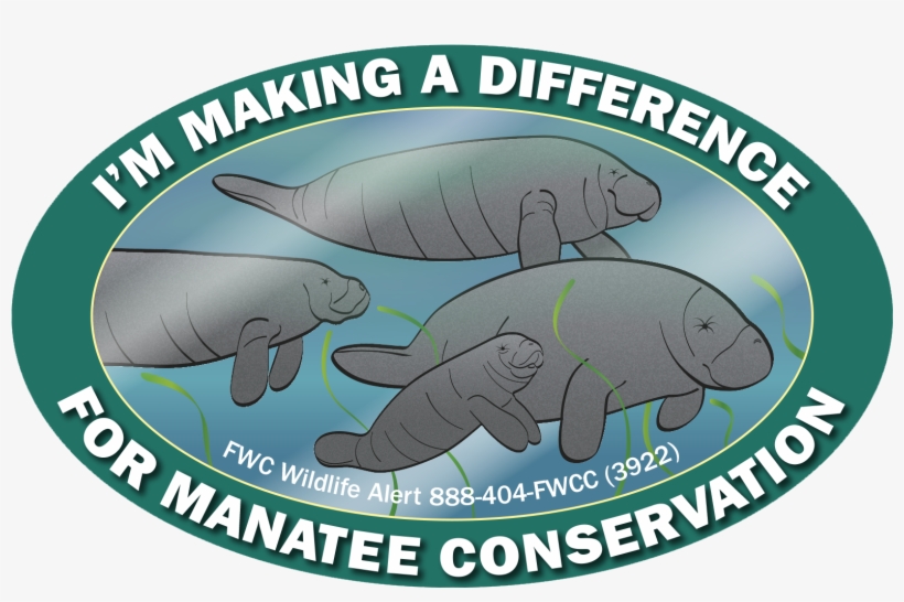 Scuba Dui, transparent png #2038767