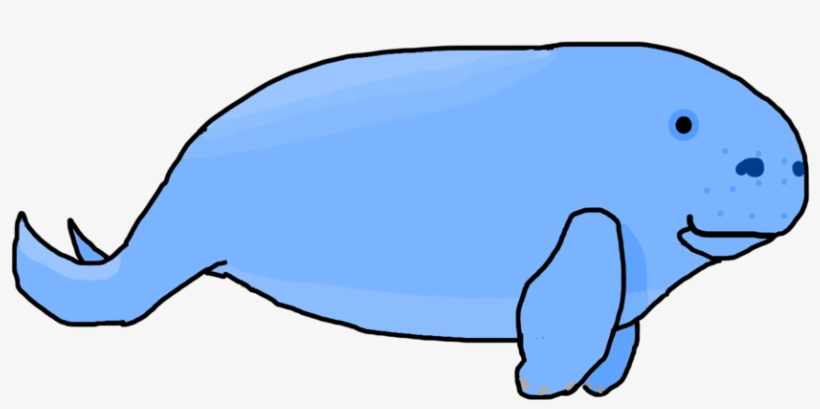 Manatee Drawing Dugong - Drawing, transparent png #2038790
