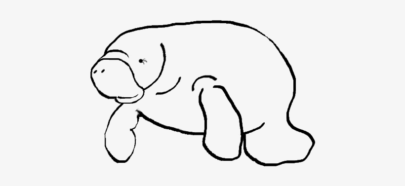 Manatee Clipart On Behance - Manatee Clipart, transparent png #2038990