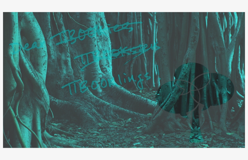 Search Form - В Оливковых Тонах. Роман [book], transparent png #2039647