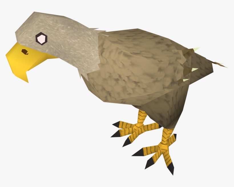 Eagle In The Desert - Free Transparent PNG Download - PNGkey