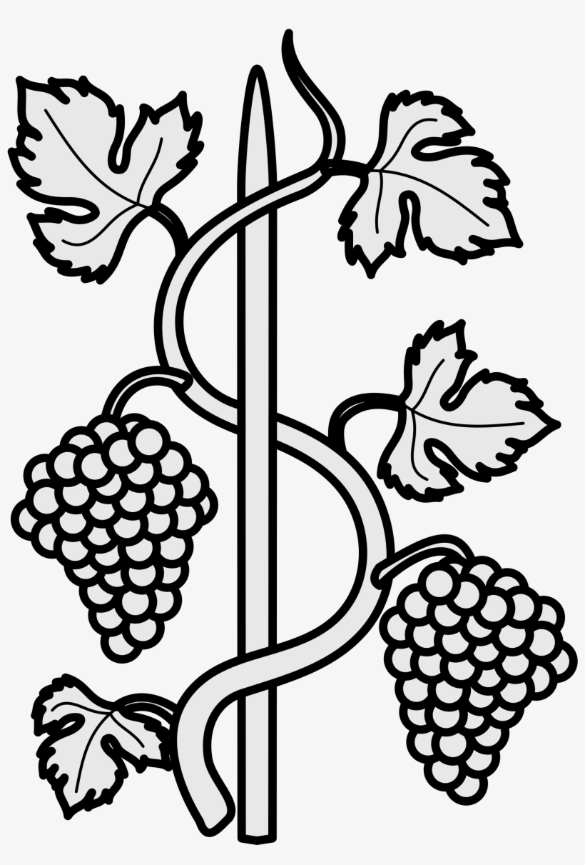 Open - Grape Vine Line Drawing, transparent png #2041582