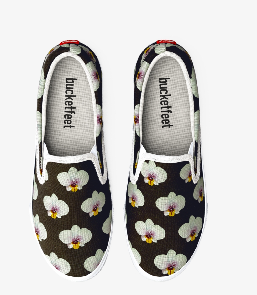 An Orchid Is Born, transparent png #2041606