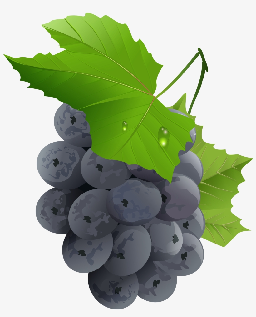 Grapes Transparent Png Clip Art Imageu200b Gallery, transparent png #2041683