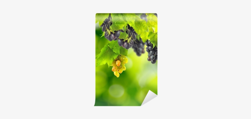 Wallpaper, transparent png #2042260