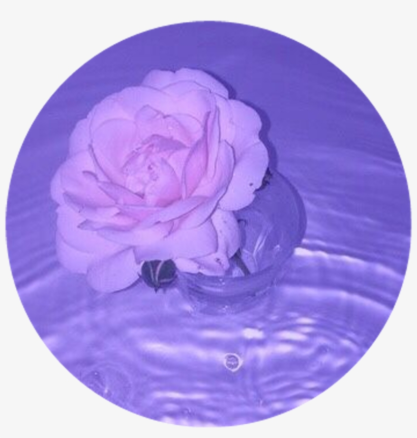 Circle Sticker By - Rose Purple Tumblr Aesthetic, transparent png #2043003