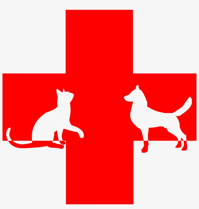 This Free Icons Png Design Of Veterinary First Aid, transparent png #2044272