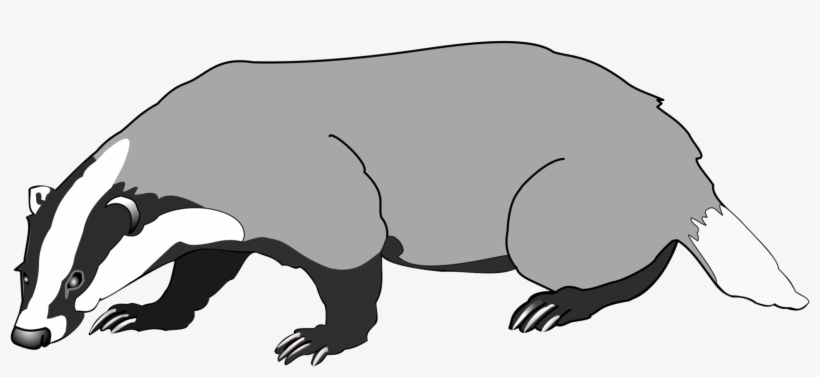 Badger Clipart Png, transparent png #2045302