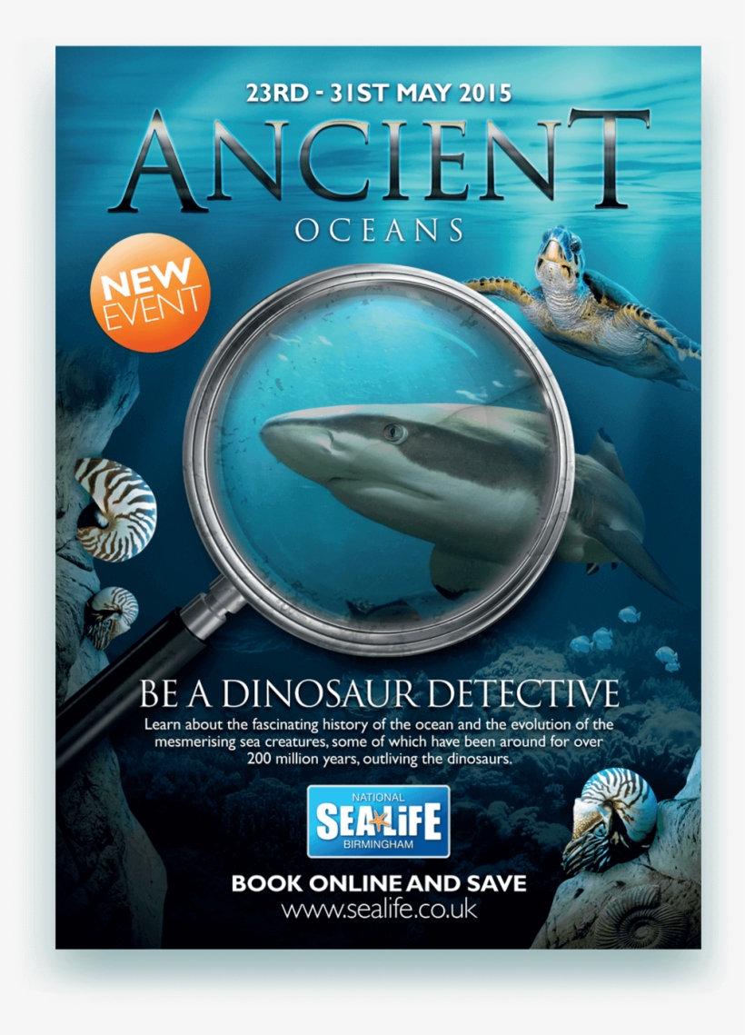 What We Did - Sea Life Centre, transparent png #2045591