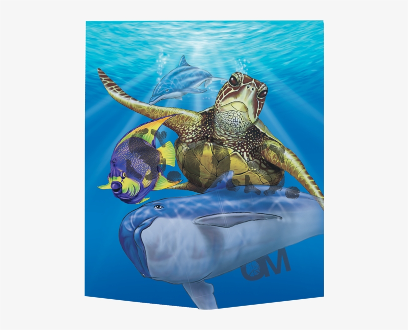 Om022-sea Life - Green Sea Turtle, transparent png #2045688