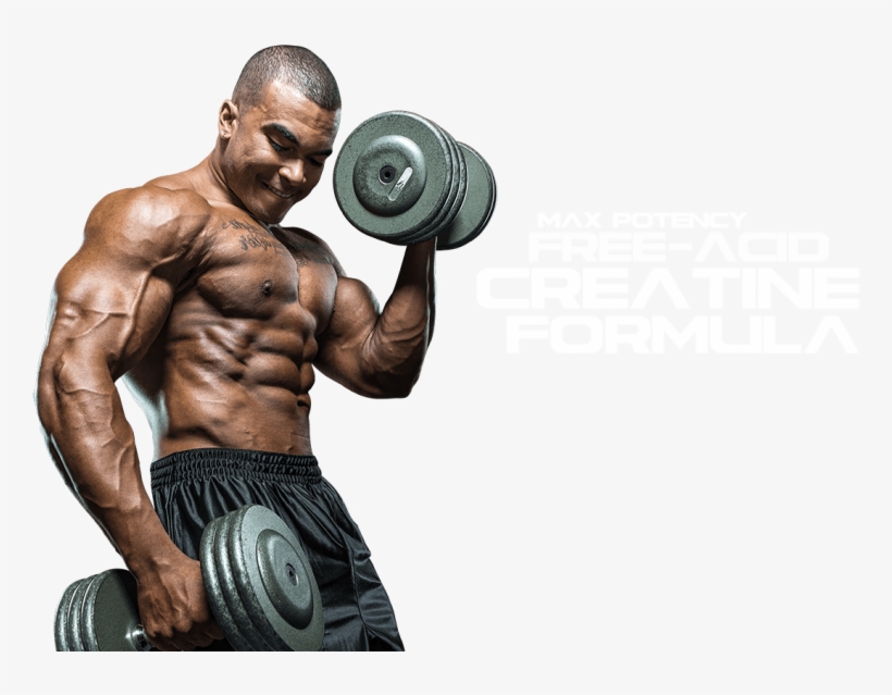 Free Png Muscle Man Png Images Transparent - Bodybuilder Workout Png, transparent png #2045718