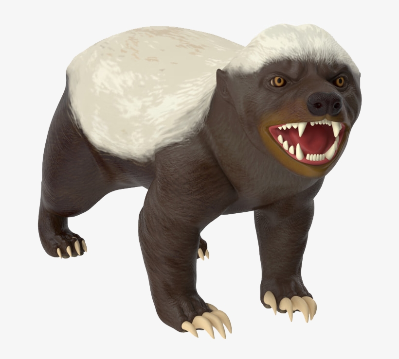 Honey Badger Transparent, transparent png #2045720