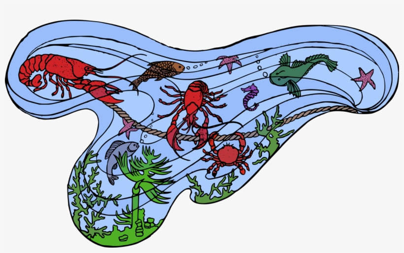 Sea Creatures Marine Life Ocean Animals - Marine Life, transparent png #2045734