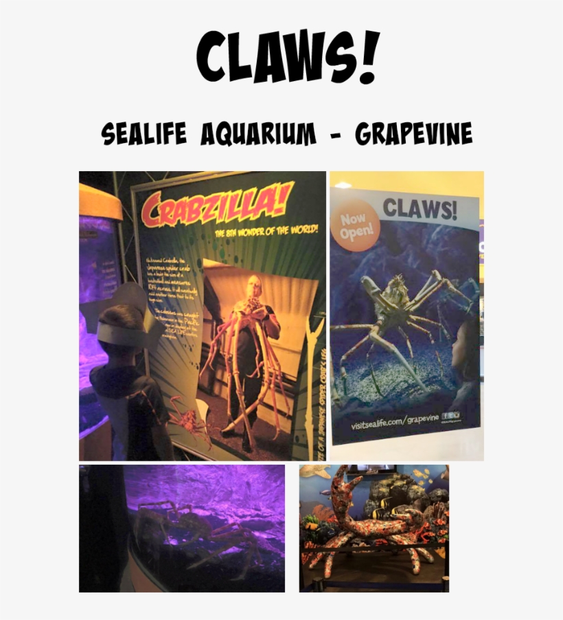 Poster, transparent png #2045807