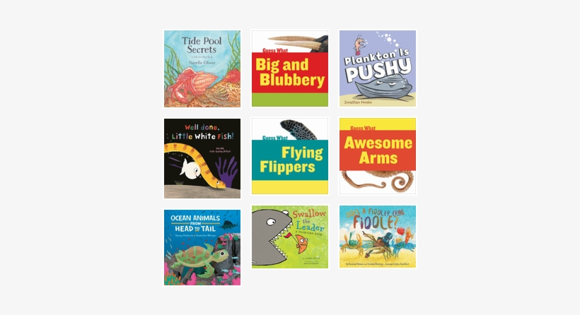 Ocean Animals From Head To Tail, transparent png #2045851