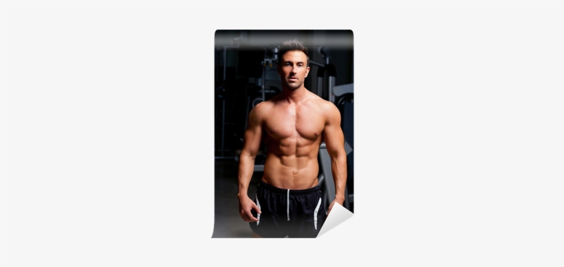 Fitness Shaped Muscle Man Posing On Gym Wall Mural - Homefront Slim Pro-xv1000 Abdominal Toning Belt, transparent png #2045977