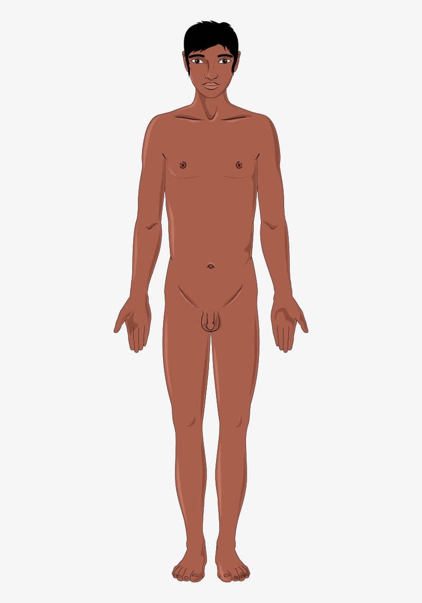 Download The Image - Indian Girl Hd Png, transparent png #2046000