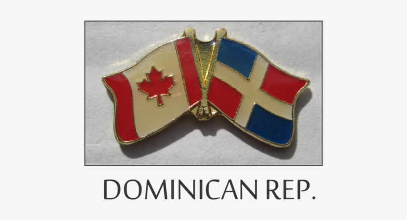 Friendship Flag Pins - Flag, transparent png #2046441