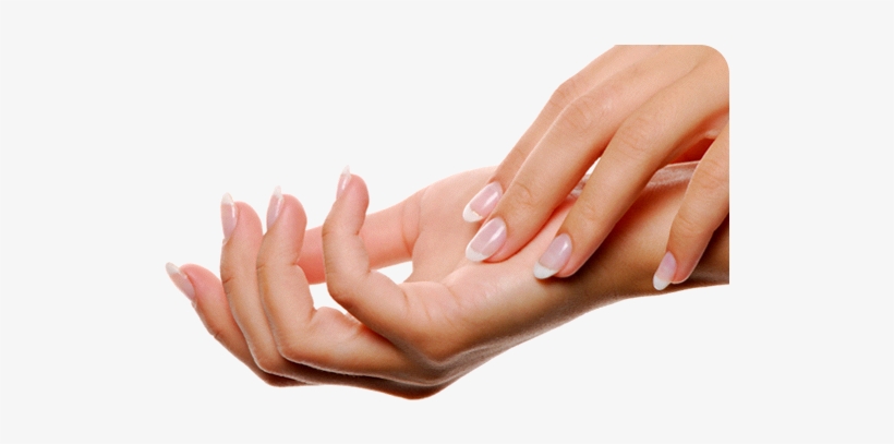 Nails Png - Manicure, transparent png #2046616