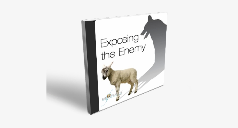 Exposing The Enemy - Mountain Goat, transparent png #2046825