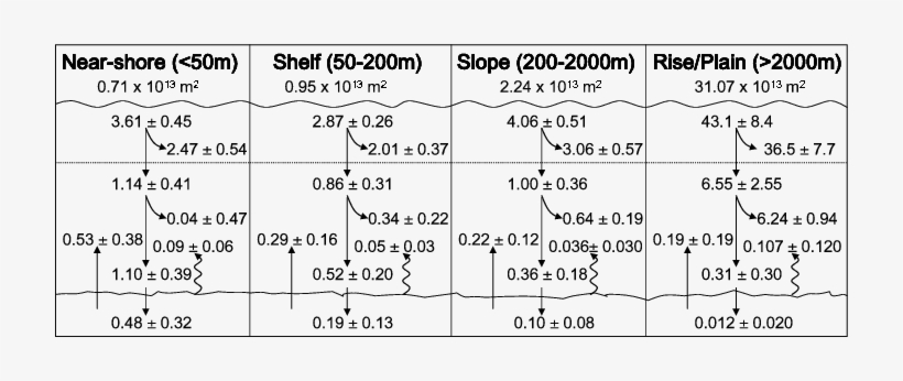 Down Arrows Are Organic Carbon Fluxes, transparent png #2047053