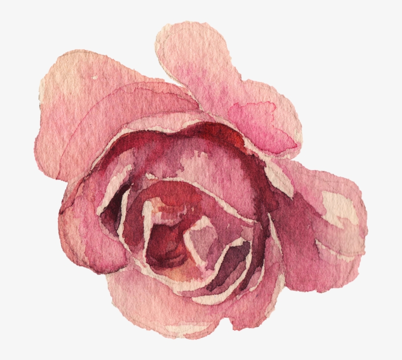 Image Du Blog Zezete2 - Garden Roses, transparent png #2047089
