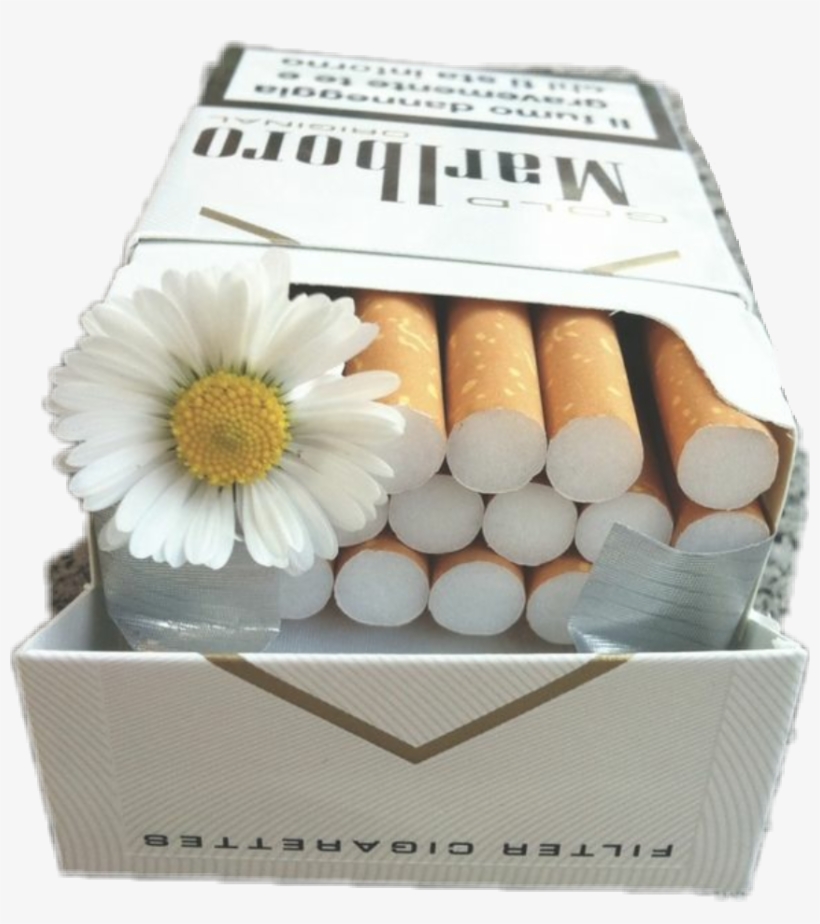 Clip Freeuse Stock Flower Aesthetic Badgirl Malboro - Cigarettes And Flowers, transparent png #2047487