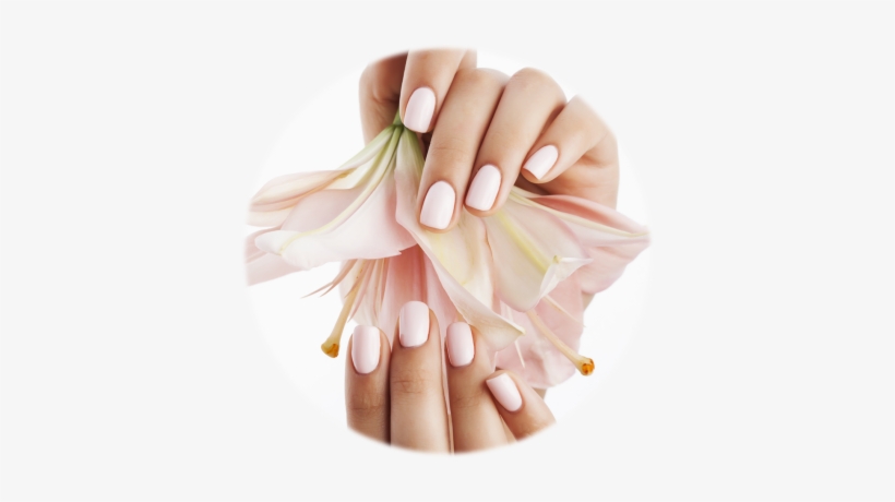 Hand & Feet Care - Classic Manicure, transparent png #2047517