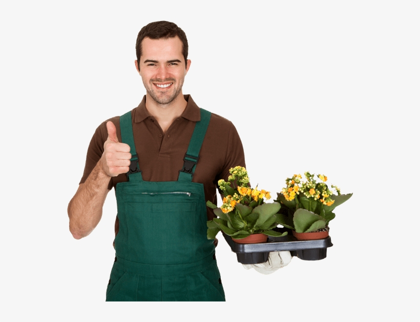 Gardening Transparent Background - False Shovel Large With Folding Handle For Camping, transparent png #2048703
