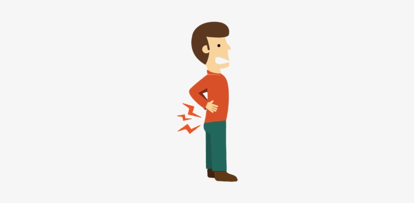 The Spine Or The Backbone Is A Flexible Yet Sensitive - Cartoon, transparent png #2050197