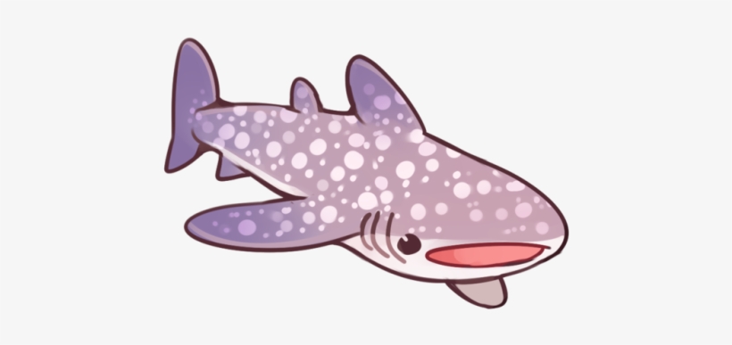 A Soft Shark For Your Considerations - Cute Whale Shark Art, transparent png #2050475