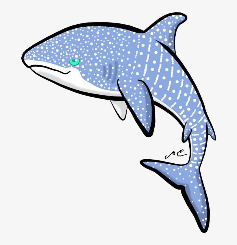 Whale Shark By Mischievouspooka - Whale Shark Chibi, transparent png #2050522