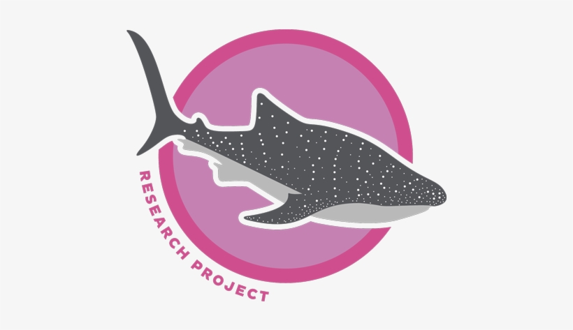 Shark Whale Pink, transparent png #2050541