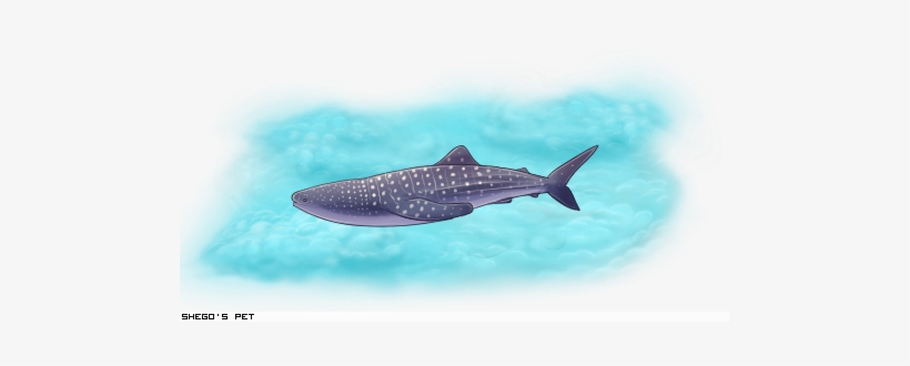 Whale Shark, transparent png #2050613