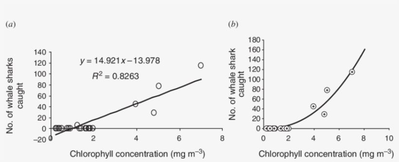 A) Correlation Of Whale Shark Catch And Chl-a Concentration - Fig.1, transparent png #2050937