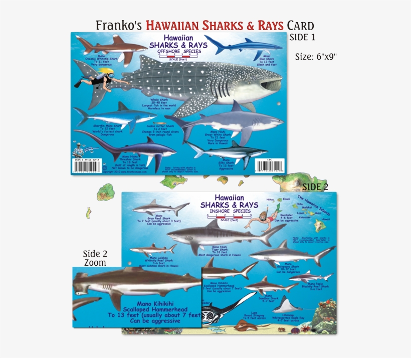 Franko Maps, Hawaiian Sharks & Rays Id-card, transparent png #2050960