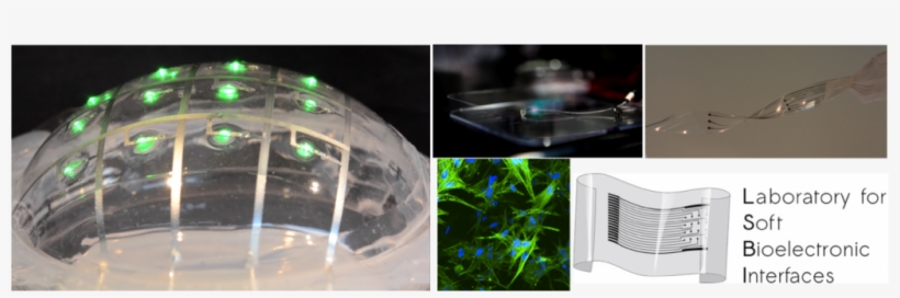 Spinal Injury Medtech E-dura - Sci Fi Spinal Implants, transparent png #2051040