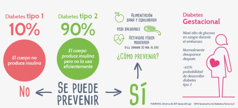 Test De Riesgo Genético Diabetes Tipo - Prevencion Diabetes Tipo 1, transparent png #2052374