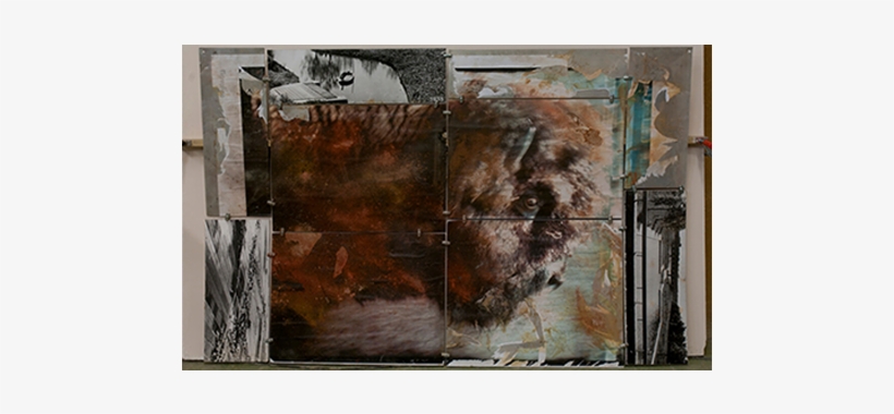 Video Impressions Bison Caravan Brasil - Modern Art, transparent png #2052461