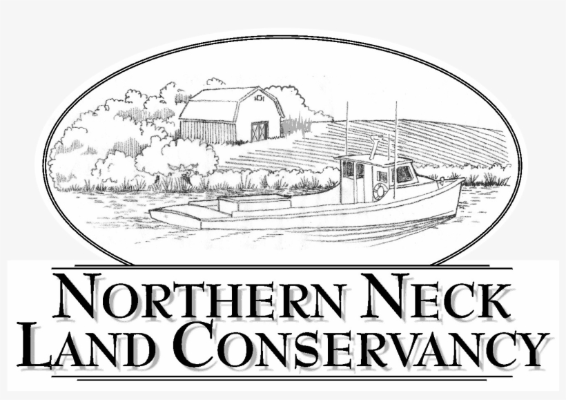 Northern Neck Land Conservancy 8327 Mary Ball Road - Northern Neck Land Conservancy, transparent png #2053671