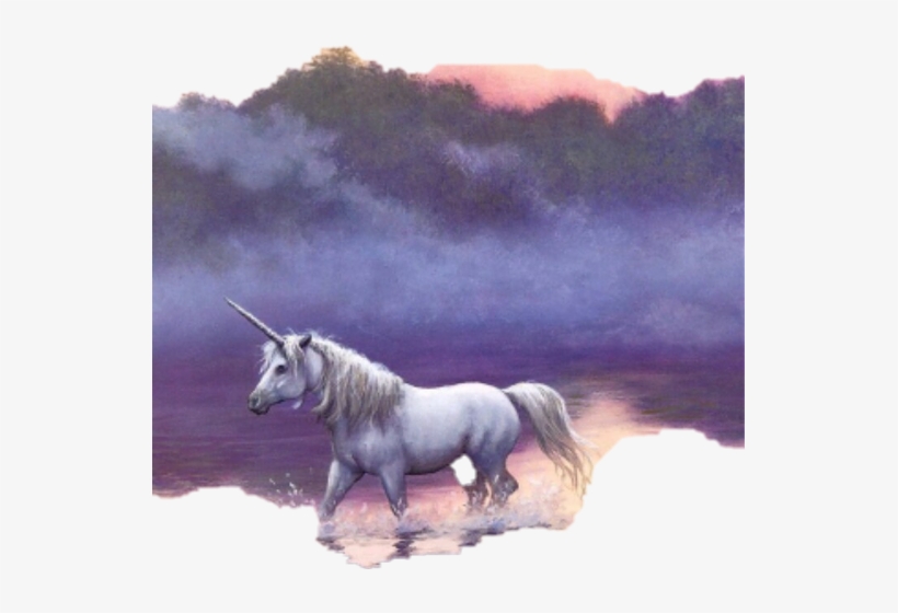 Nail Polish, transparent png #2054139