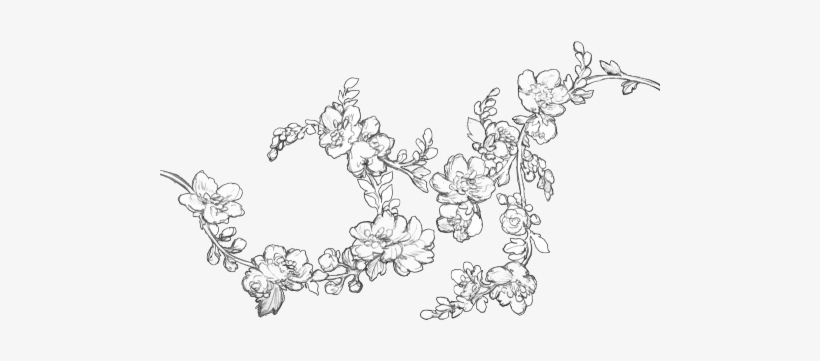 Manga Flowers Png - Line Art, transparent png #2055024