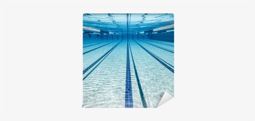 Expectation Vs Reality Swimming, transparent png #2056393
