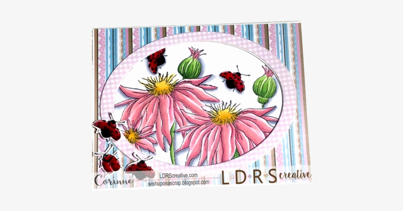Blooming Bugs - Marguerite Daisy, transparent png #2057801